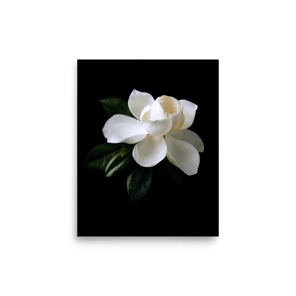 enhanced-matte-paper-poster-(in)-8x10-front-6a76034a5ac27.jpg