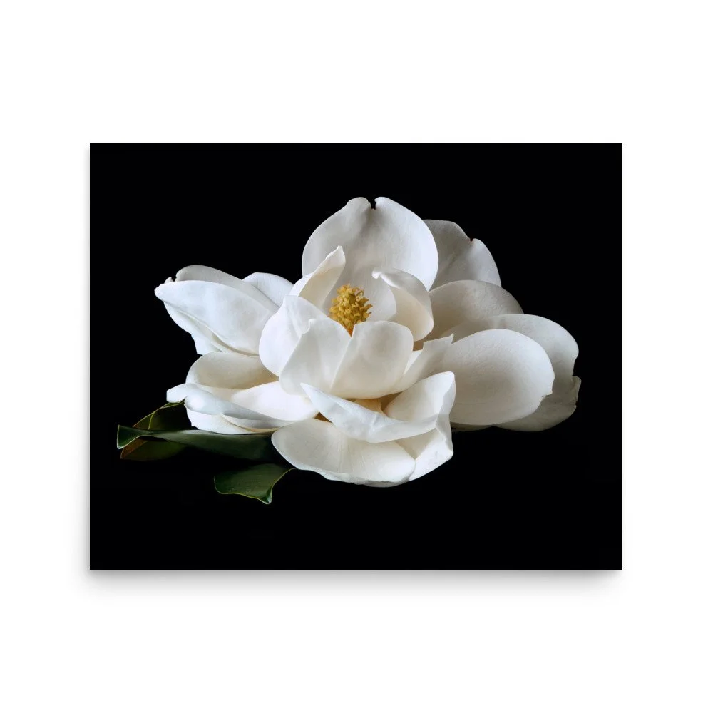 enhanced-matte-paper-poster-(in)-16x20-front-6a76083b999d9.jpg