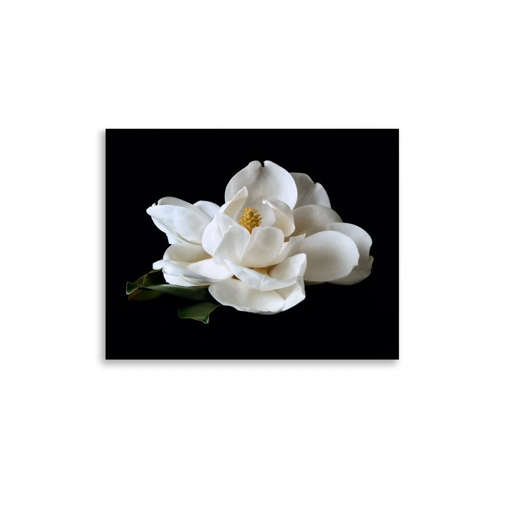 enhanced-matte-paper-poster-(in)-11x14-front-6a76083b9a4ad.jpg