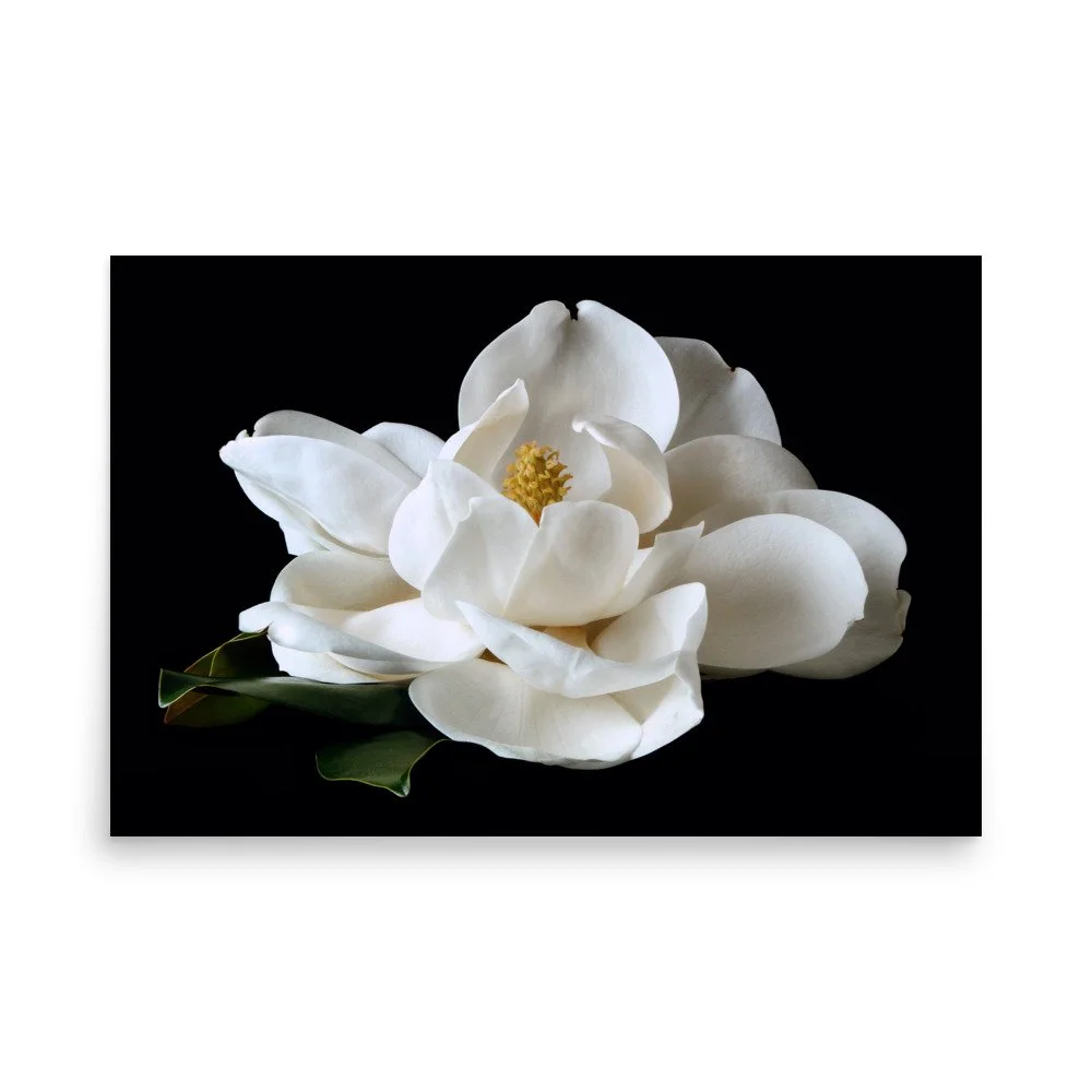 enhanced-matte-paper-poster-(in)-24x36-front-6a76083b9a521.jpg
