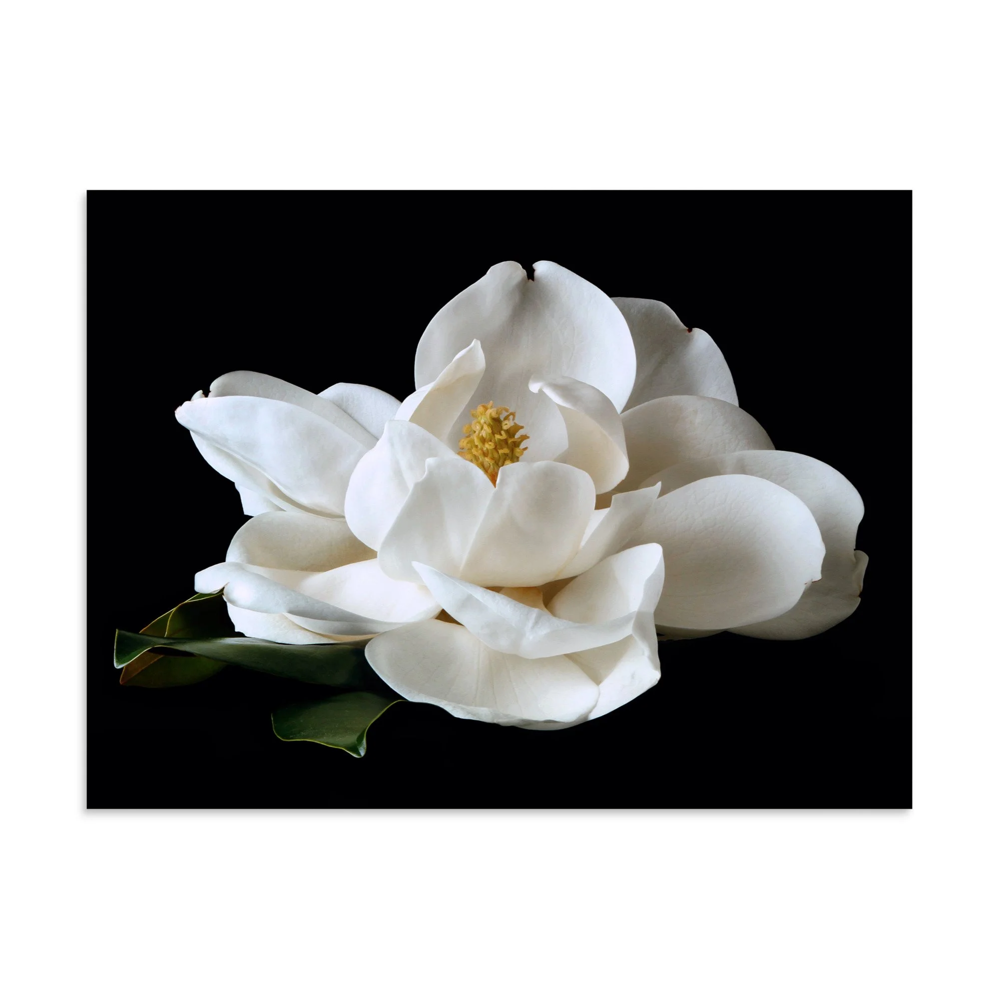 enhanced-matte-paper-poster-(in)-30x40-front-6a76083b9a555.jpg