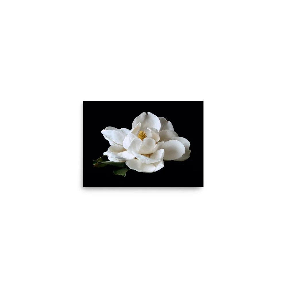 enhanced-matte-paper-poster-(in)-5x7-front-6a76083b9a572.jpg