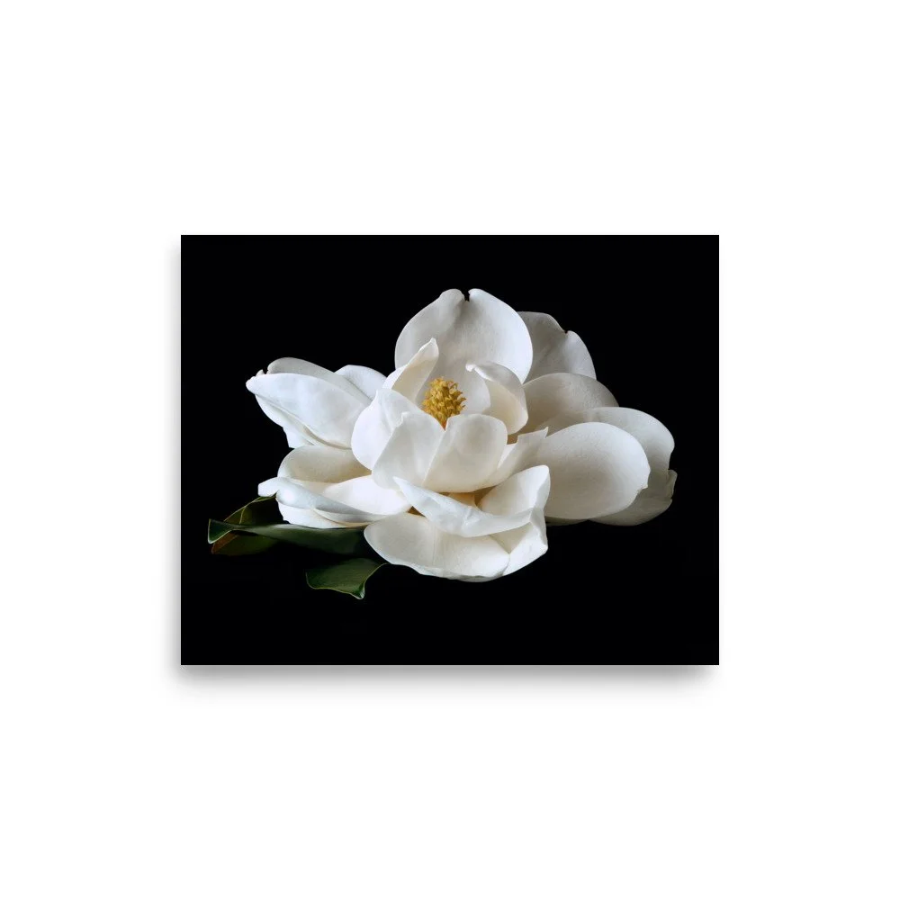 enhanced-matte-paper-poster-(in)-8x10-front-6a76083b9a59c.jpg