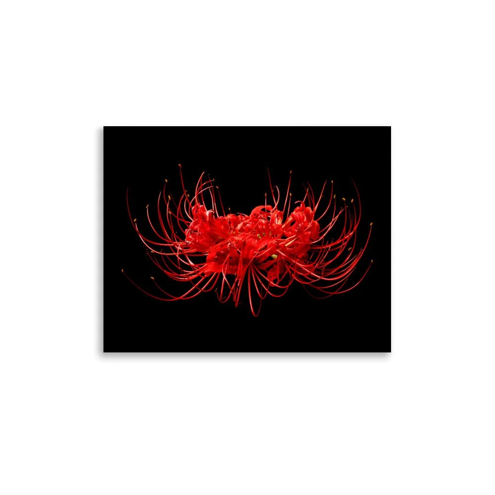 enhanced-matte-paper-poster-(in)-11x14-front-6a7613b049714.jpg