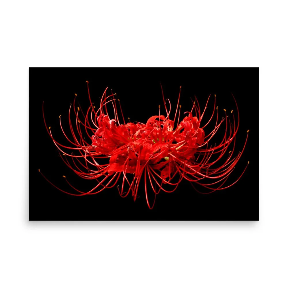 enhanced-matte-paper-poster-(in)-24x36-front-6a7613b0497a6.jpg