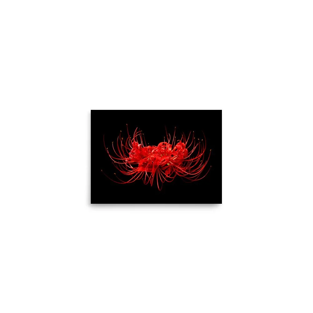 enhanced-matte-paper-poster-(in)-5x7-front-6a7613b04980b.jpg
