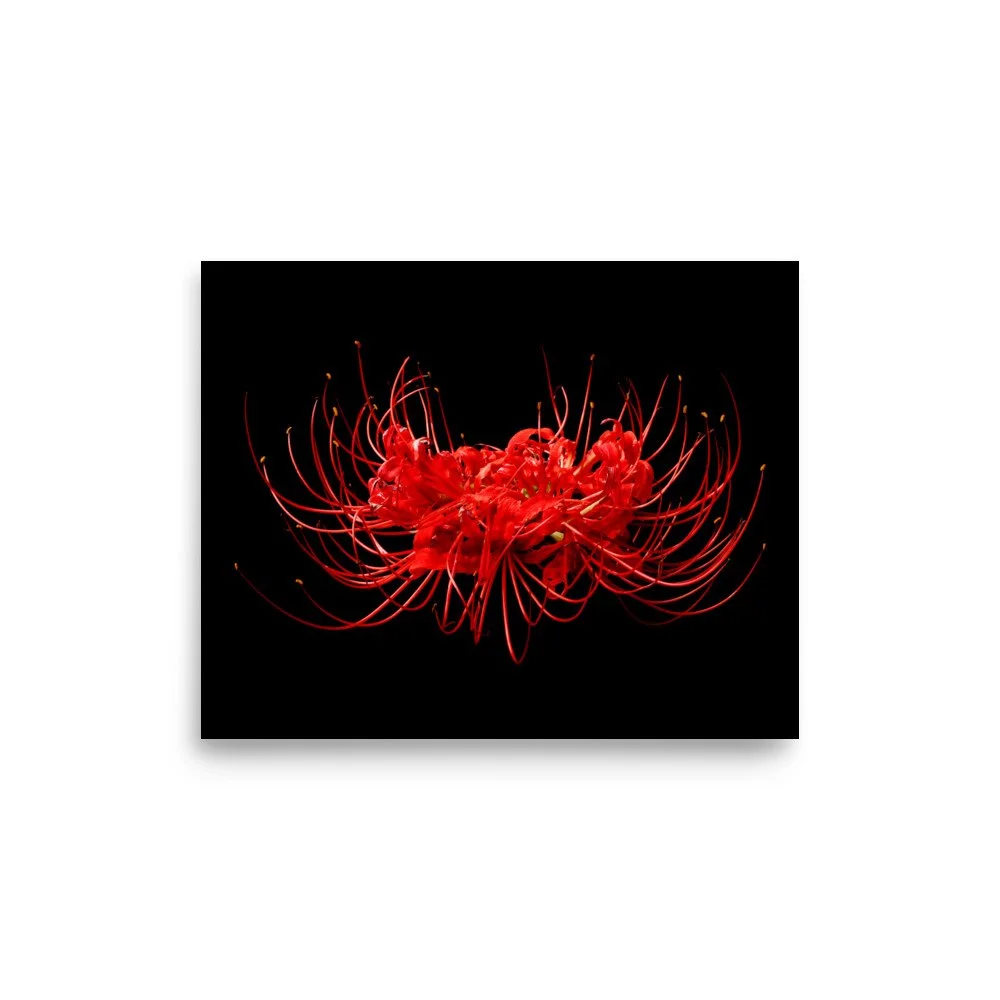 enhanced-matte-paper-poster-(in)-8x10-front-6a7613b049848.jpg