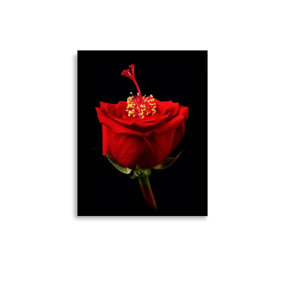 enhanced-matte-paper-poster-(in)-11x14-front-6a768d1367591.jpg