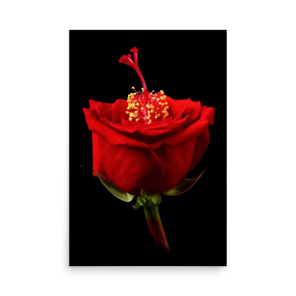 enhanced-matte-paper-poster-(in)-24x36-front-6a768d1367654.jpg