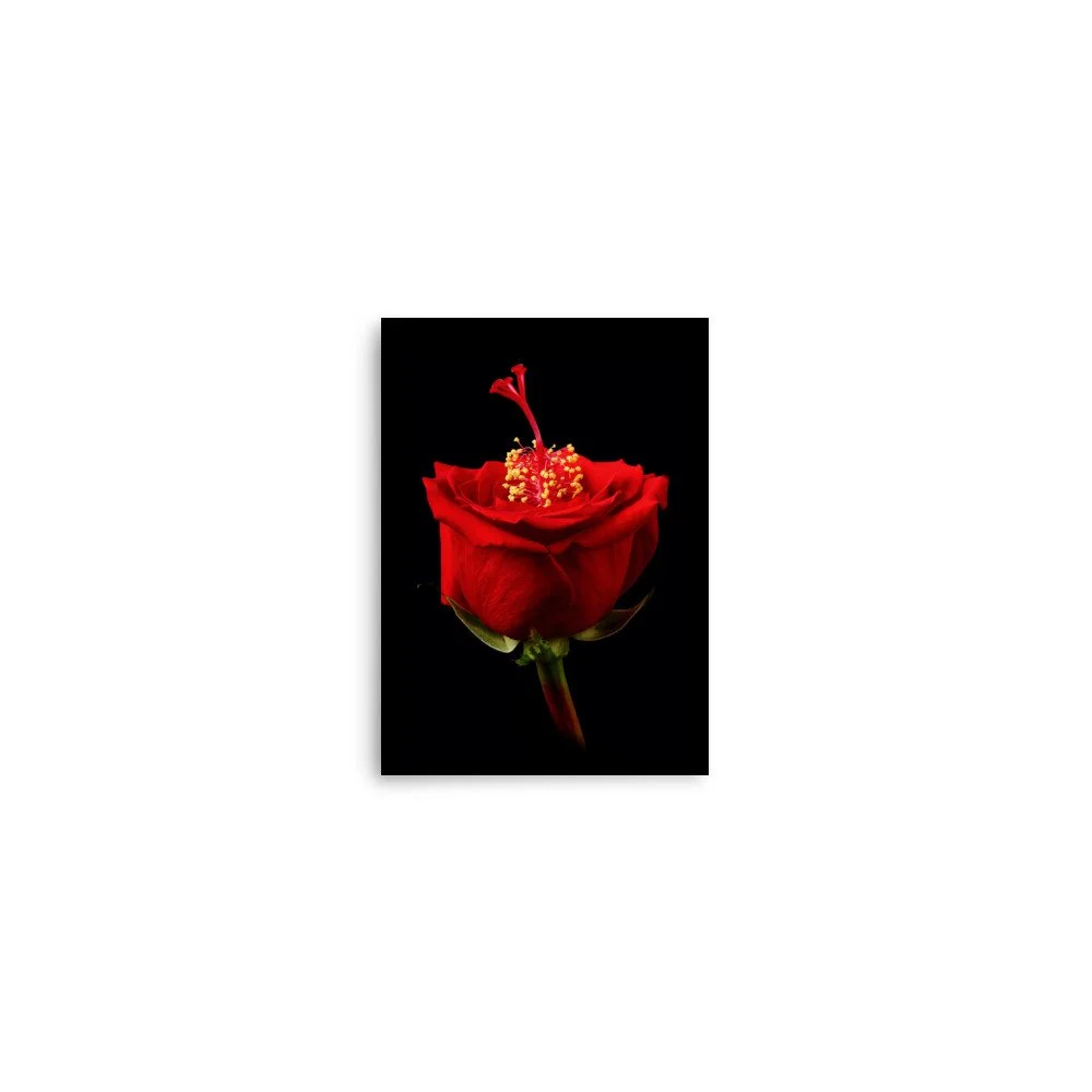 enhanced-matte-paper-poster-(in)-5x7-front-6a768d13676f2.jpg