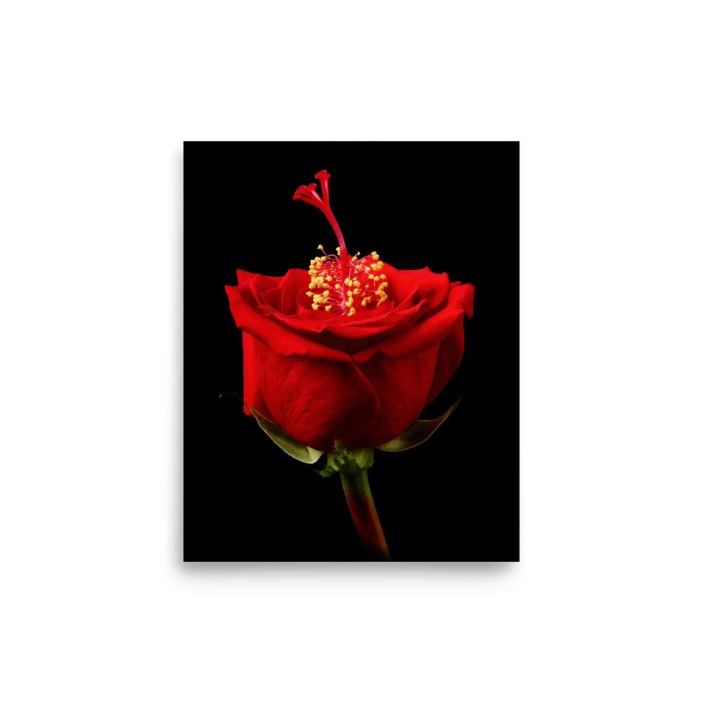 enhanced-matte-paper-poster-(in)-8x10-front-6a768d136774c.jpg