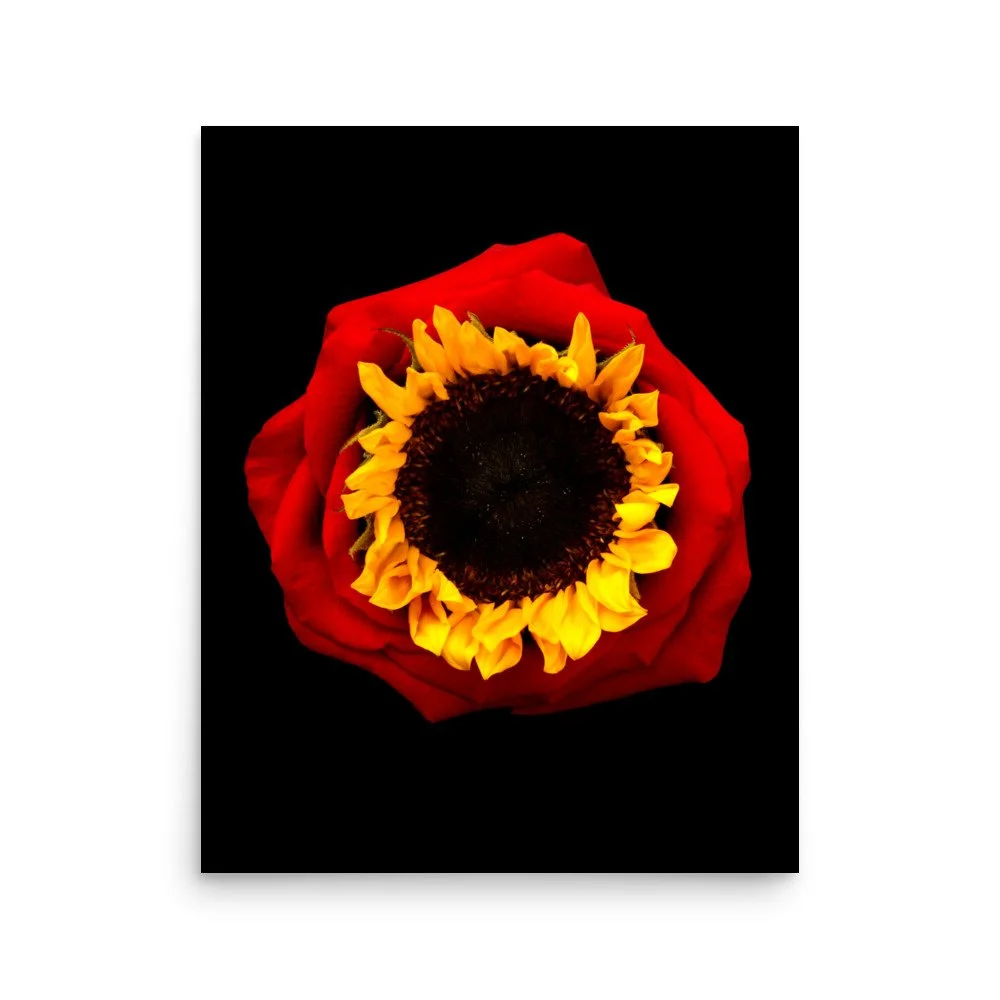 enhanced-matte-paper-poster-(in)-16x20-front-6a76916ce3a9d.jpg
