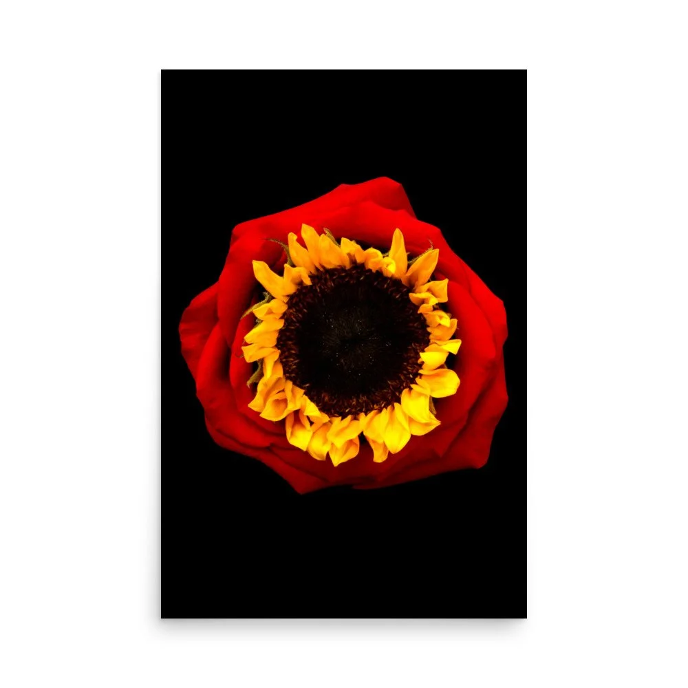 enhanced-matte-paper-poster-(in)-24x36-front-6a76916ce44c0.jpg