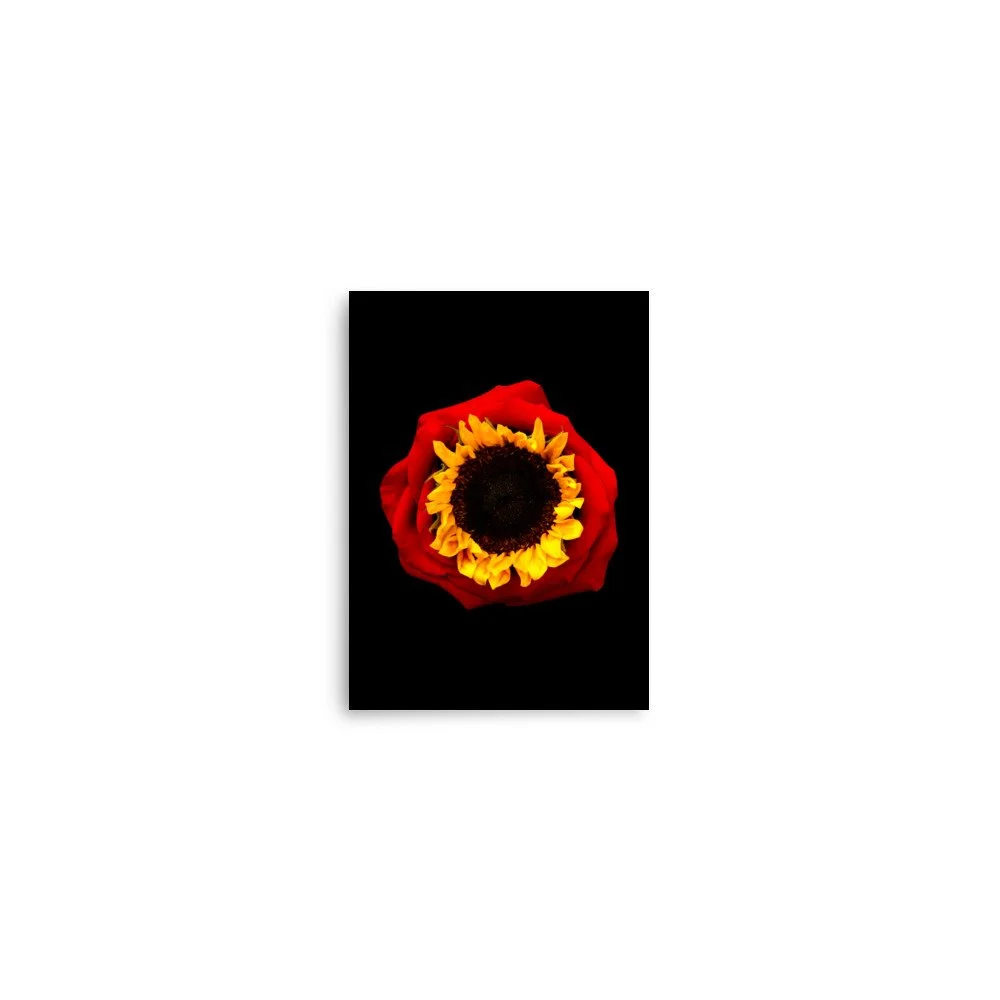 enhanced-matte-paper-poster-(in)-5x7-front-6a76916ce455a.jpg