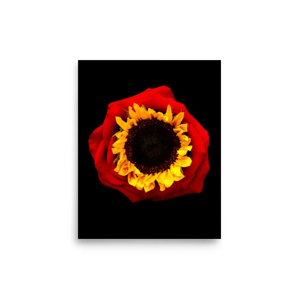 enhanced-matte-paper-poster-(in)-8x10-front-6a76916ce45aa.jpg