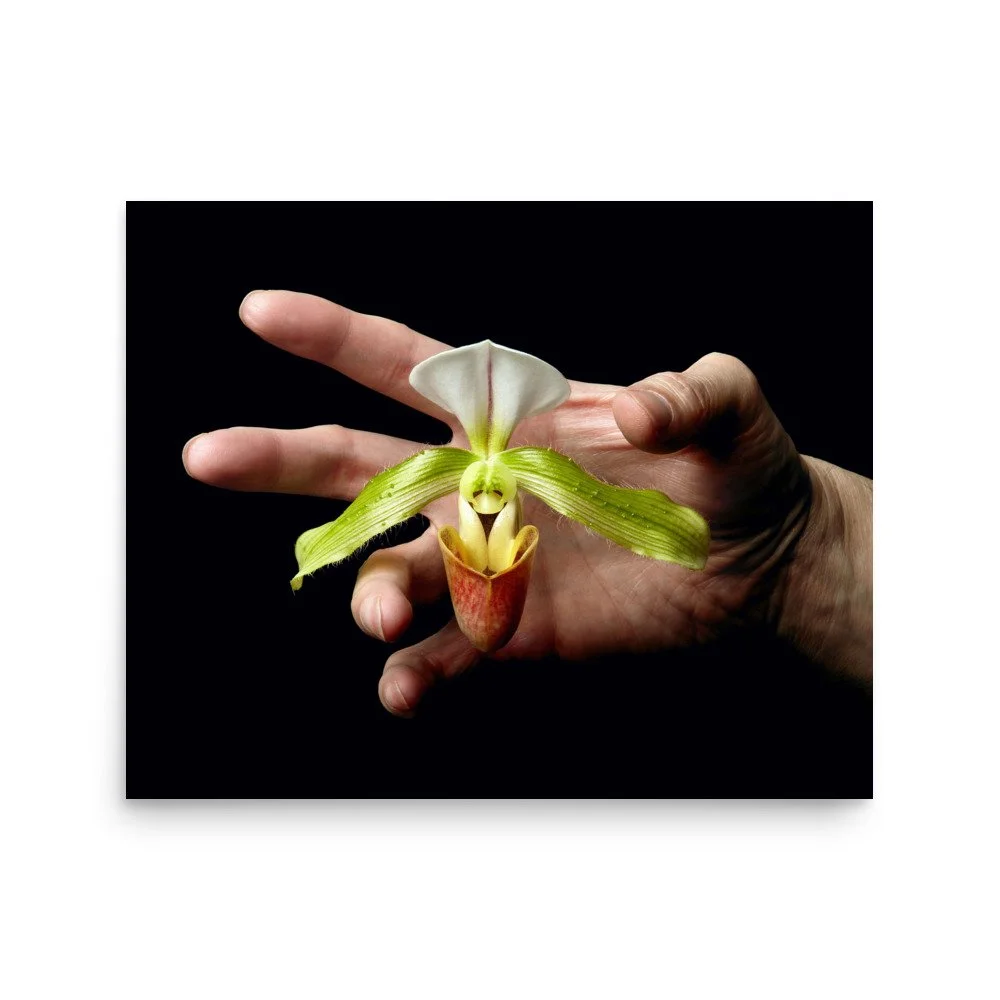 enhanced-matte-paper-poster-(in)-16x20-front-6a769758e2250.jpg