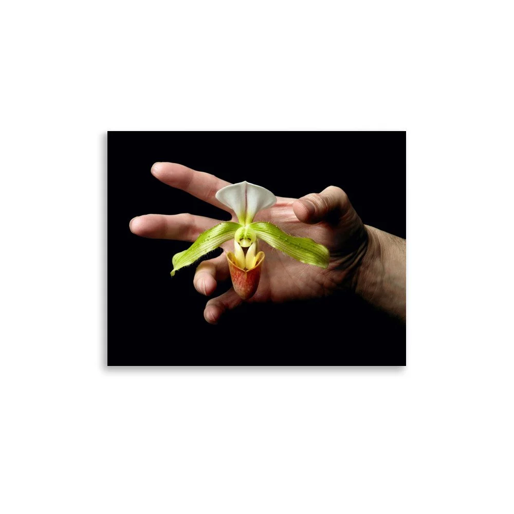 enhanced-matte-paper-poster-(in)-11x14-front-6a769758e2d88.jpg