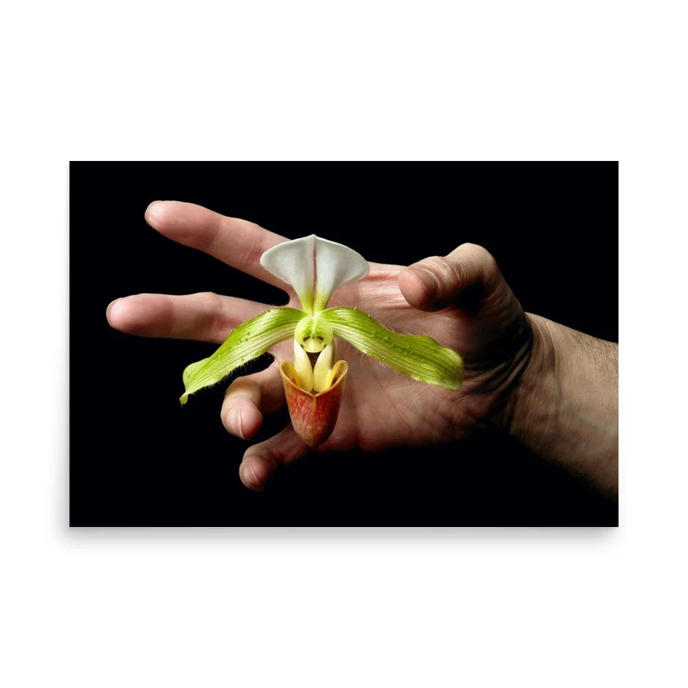 enhanced-matte-paper-poster-(in)-24x36-front-6a769758e2dec.jpg