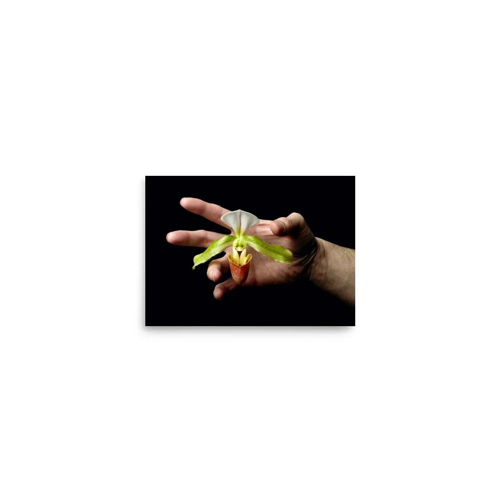 enhanced-matte-paper-poster-(in)-5x7-front-6a769758e2e39.jpg