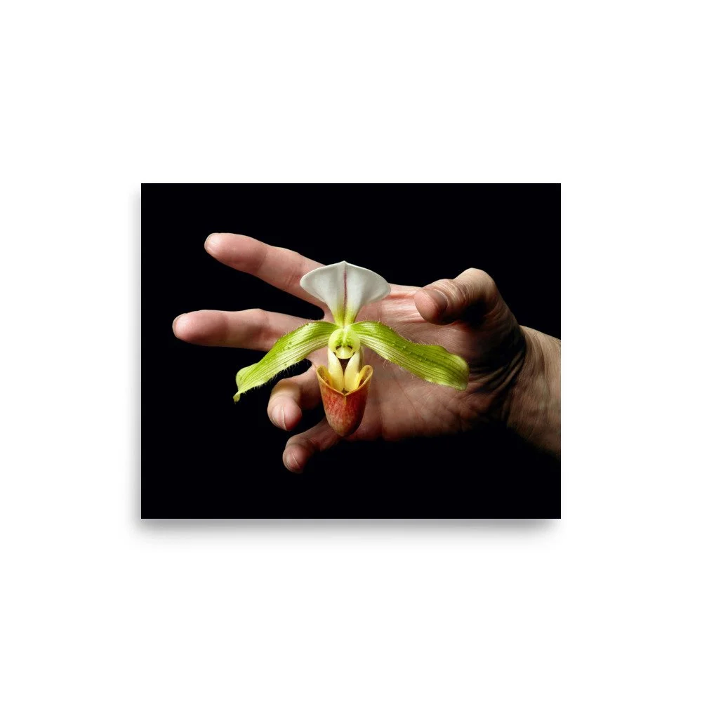 enhanced-matte-paper-poster-(in)-8x10-front-6a769758e2e63.jpg