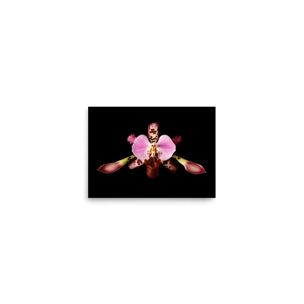 enhanced-matte-paper-poster-(in)-5x7-front-6a770370b1d57.jpg