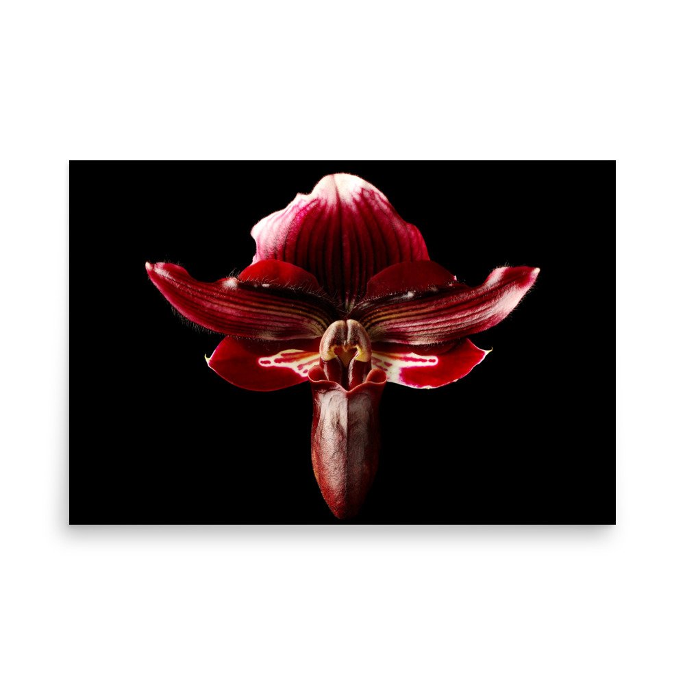 enhanced-matte-paper-poster-(in)-24x36-front-6a771abc72e7b.jpg