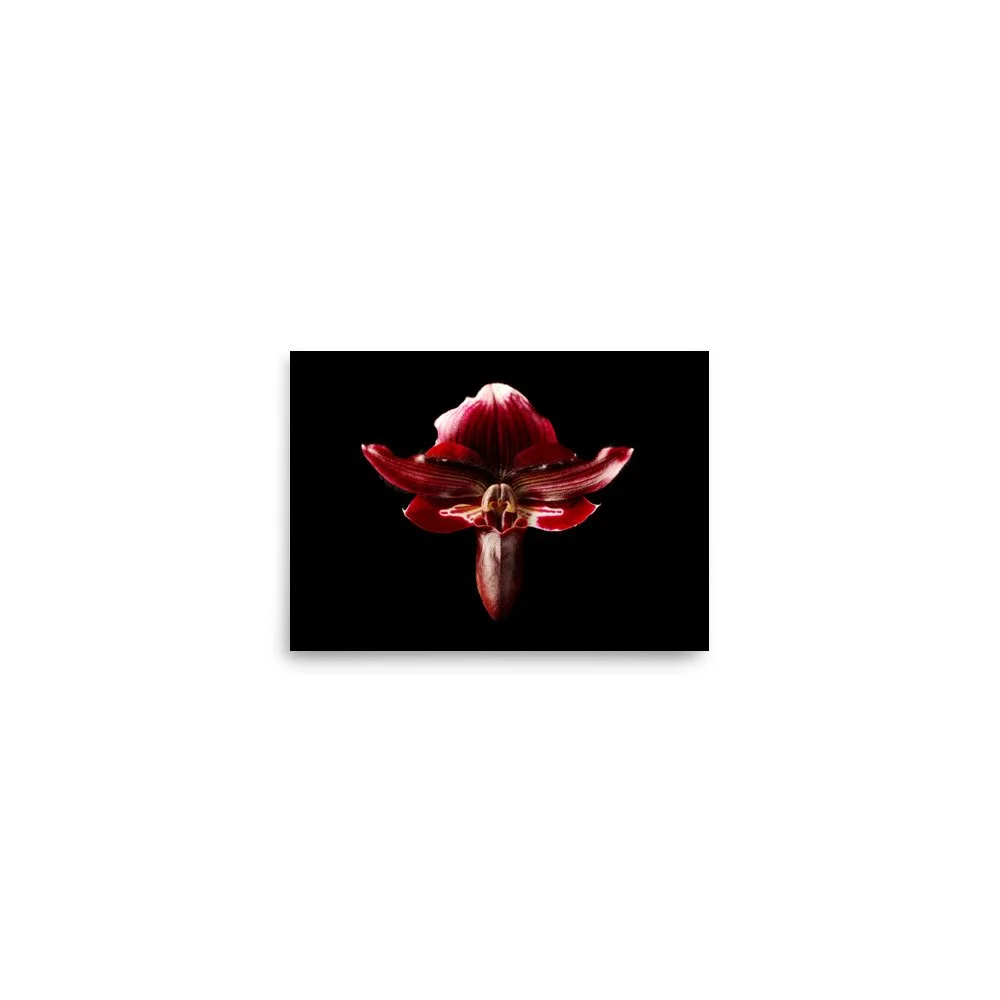 enhanced-matte-paper-poster-(in)-5x7-front-6a771abc72f0d.jpg