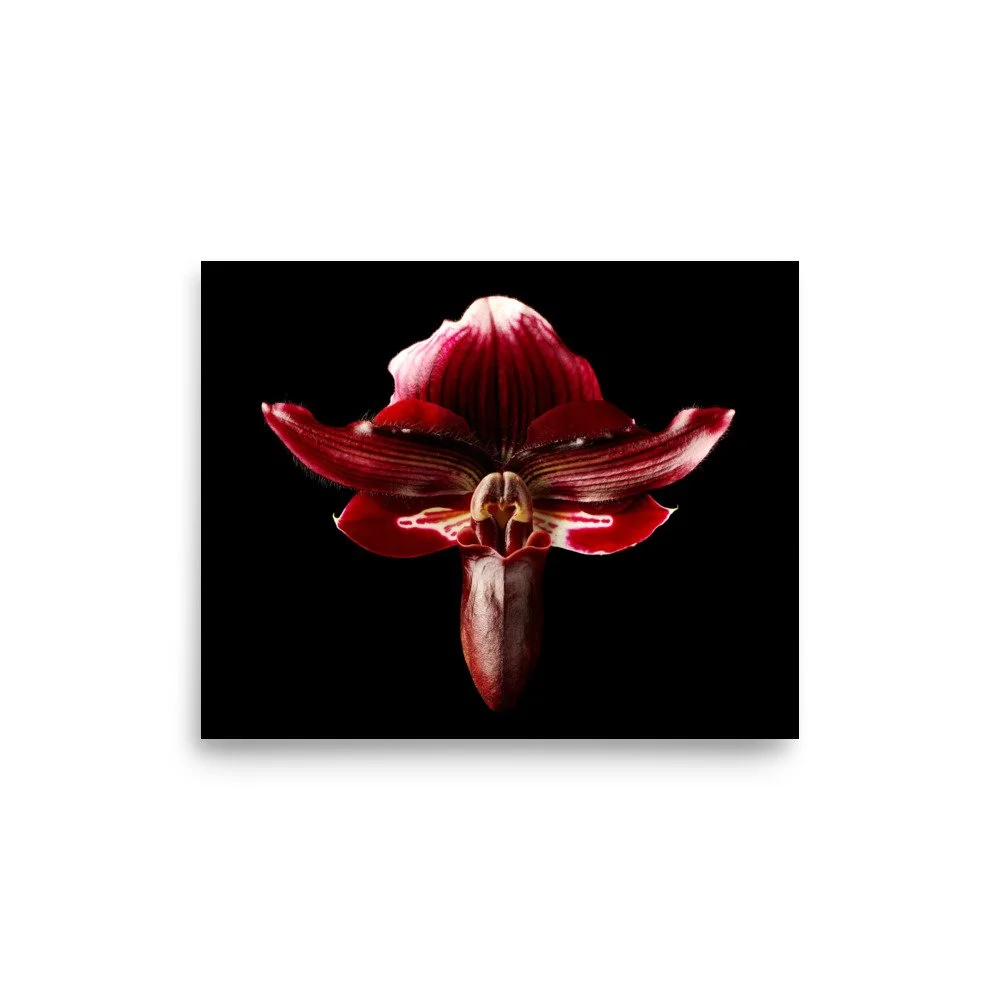 enhanced-matte-paper-poster-(in)-8x10-front-6a771abc72f45.jpg