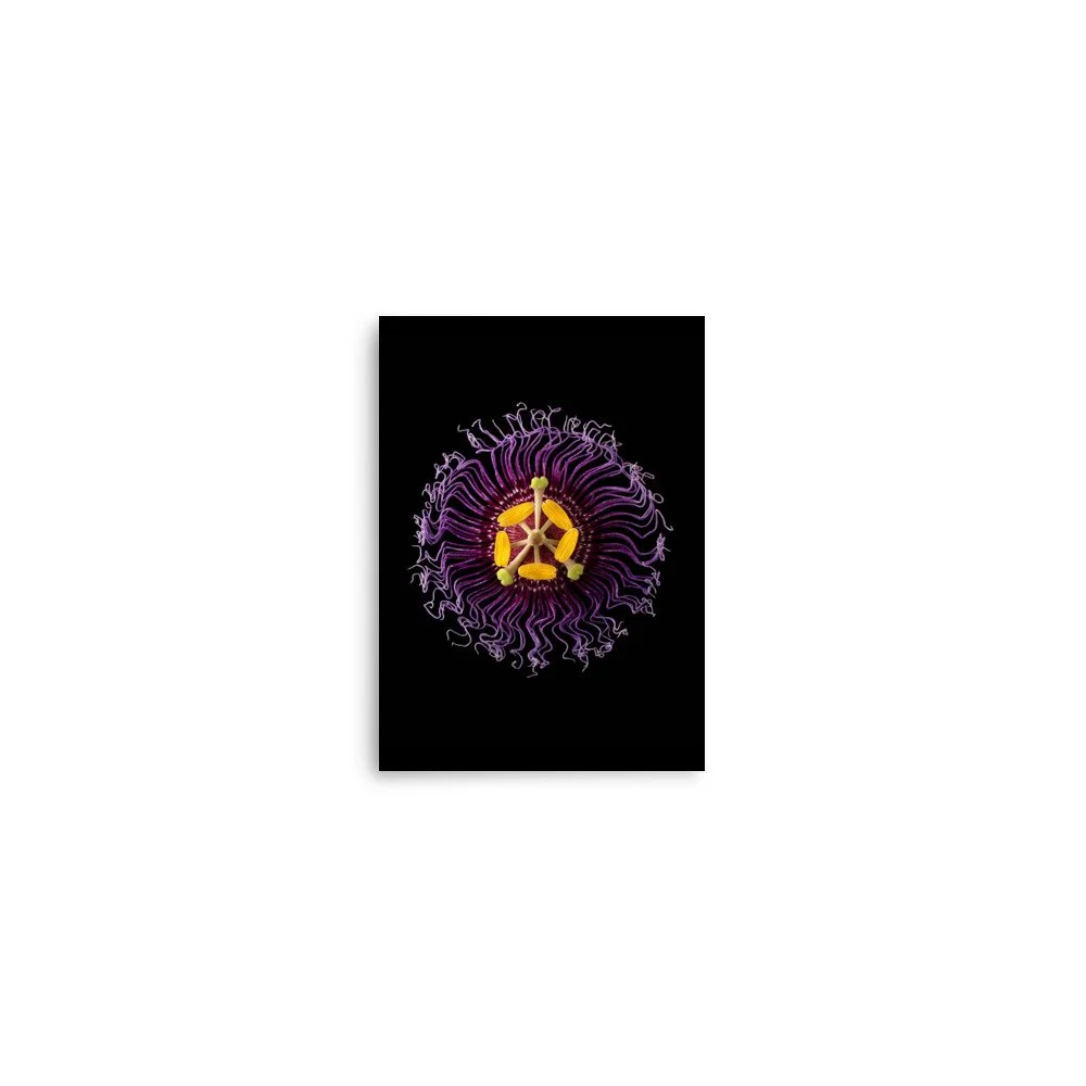 enhanced-matte-paper-poster-(in)-5x7-front-6a773271d6d40.jpg