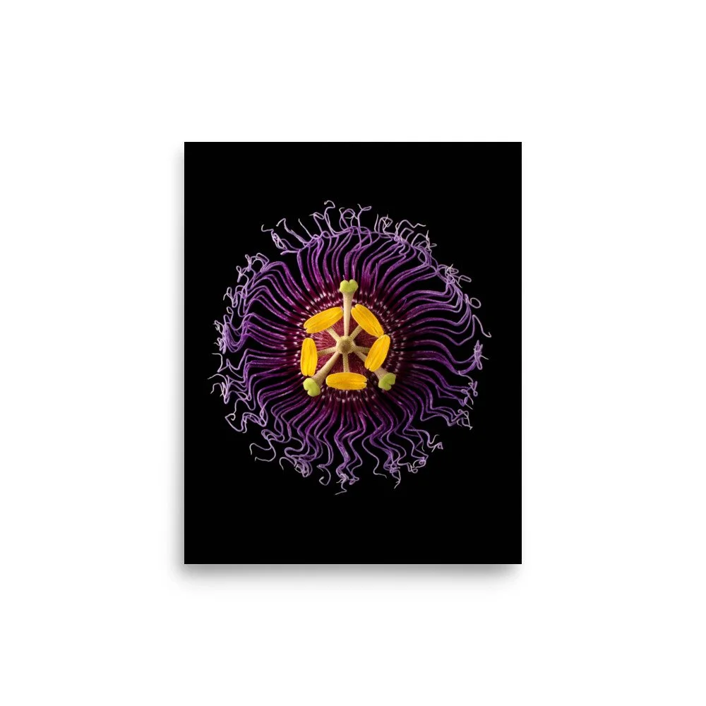 enhanced-matte-paper-poster-(in)-8x10-front-6a773271d6d7d.jpg