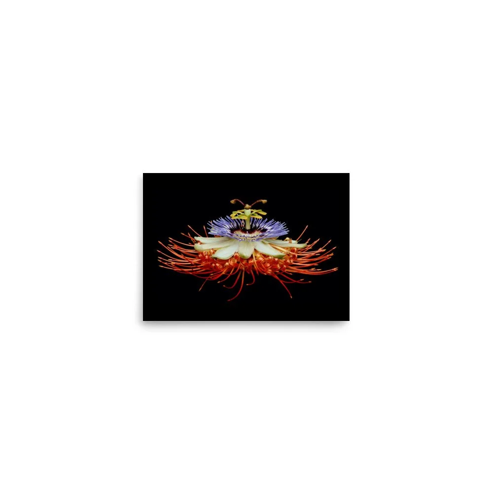 enhanced-matte-paper-poster-(in)-5x7-front-6a7737063f38d.jpg