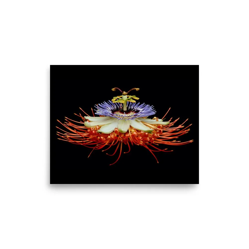 enhanced-matte-paper-poster-(in)-8x10-front-6a7737063f3c3.jpg