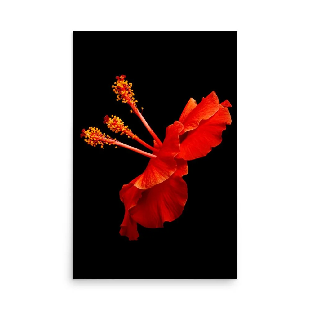 enhanced-matte-paper-poster-(in)-24x36-front-6a773c2f2e329.jpg