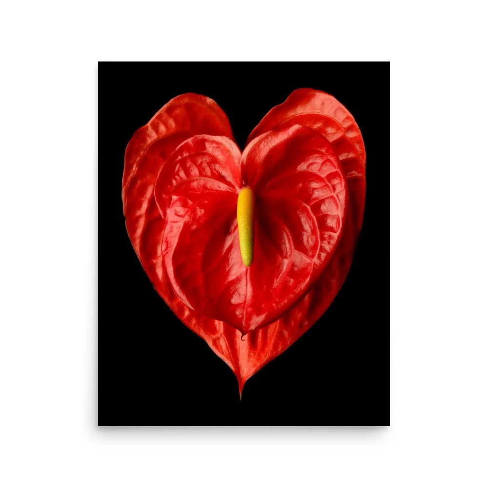 enhanced-matte-paper-poster-(in)-16x20-front-6a77457b4cb99.jpg