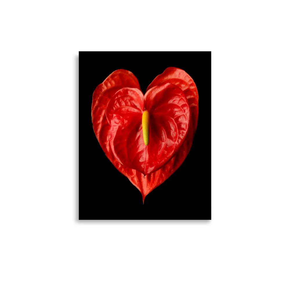 enhanced-matte-paper-poster-(in)-11x14-front-6a77457b4d6a0.jpg