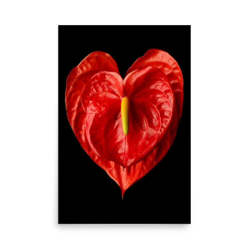 enhanced-matte-paper-poster-(in)-24x36-front-6a77457b4d707.jpg