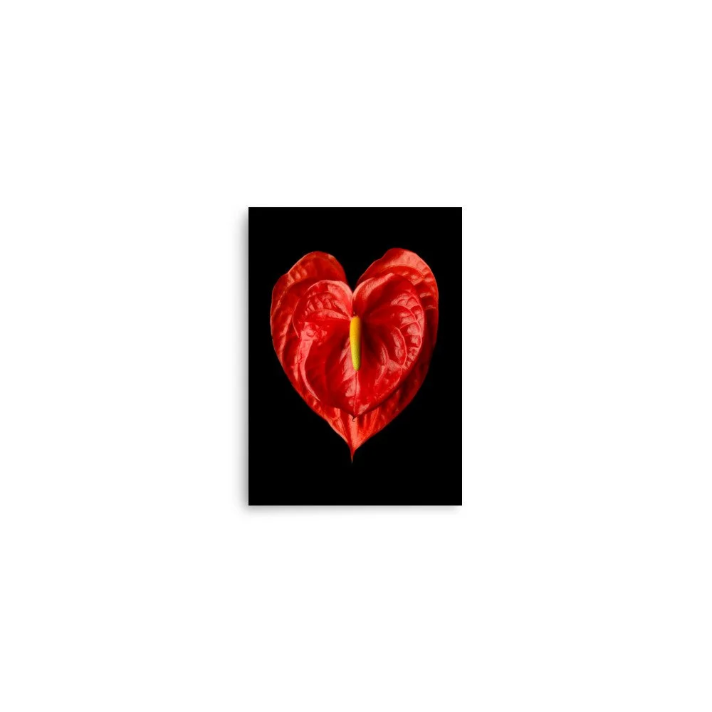 enhanced-matte-paper-poster-(in)-5x7-front-6a77457b4d75b.jpg