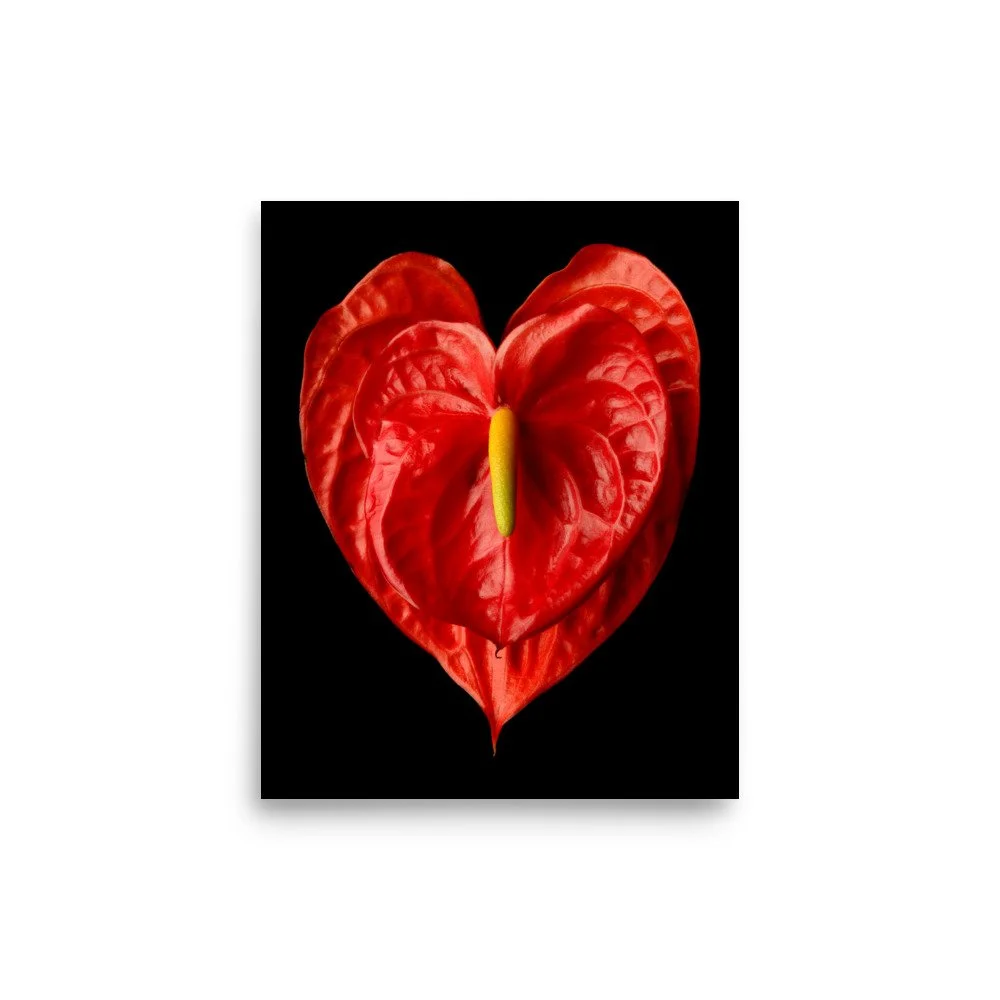 enhanced-matte-paper-poster-(in)-8x10-front-6a77457b4d78d.jpg