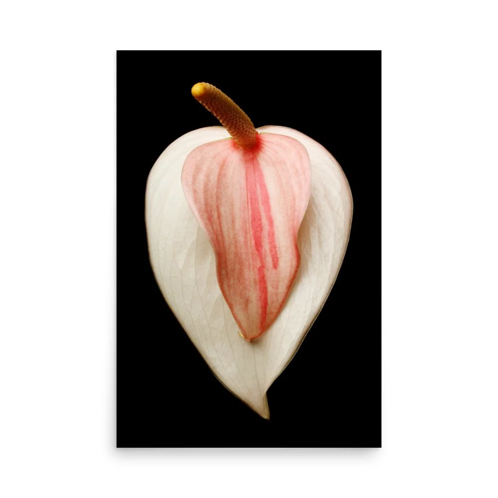 enhanced-matte-paper-poster-(in)-24x36-front-6a7748654cb93.jpg