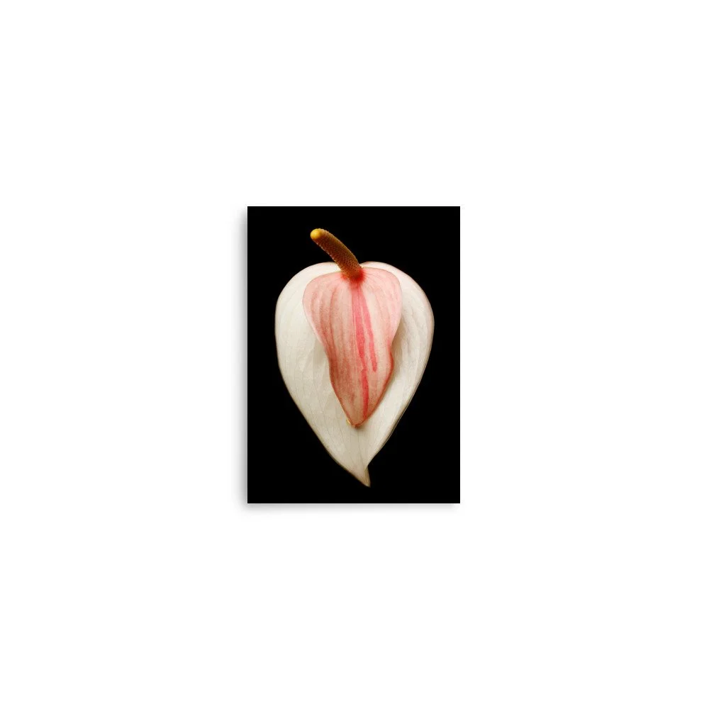enhanced-matte-paper-poster-(in)-5x7-front-6a7748654cc0b.jpg