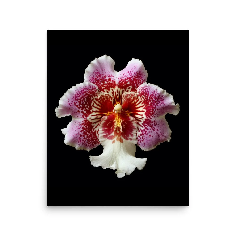 enhanced-matte-paper-poster-(in)-16x20-front-6a7774f844385.jpg