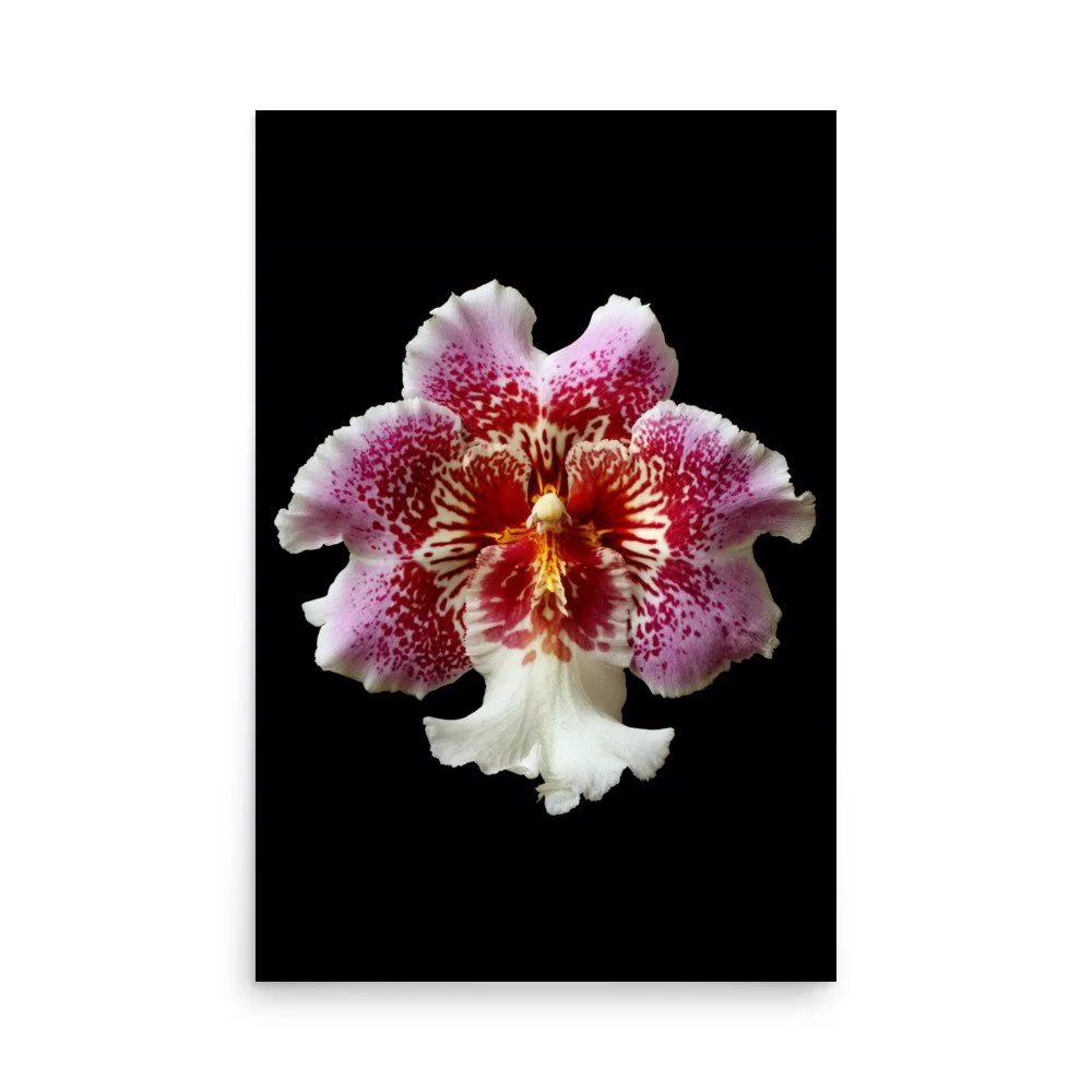 enhanced-matte-paper-poster-(in)-24x36-front-6a7774f84533b.jpg