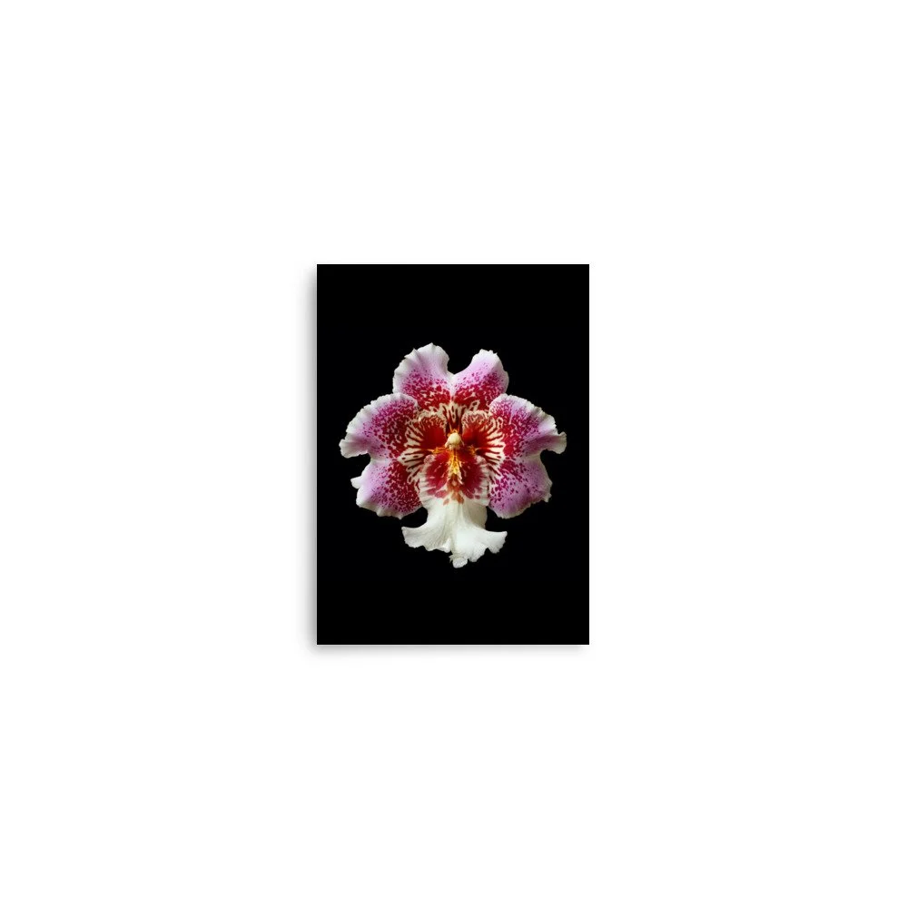enhanced-matte-paper-poster-(in)-5x7-front-6a7774f8453ae.jpg