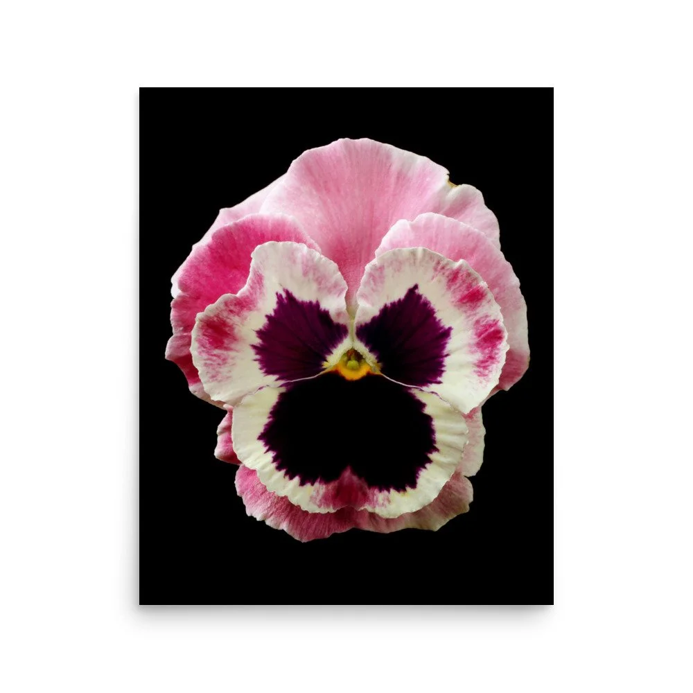 enhanced-matte-paper-poster-(in)-16x20-front-6a777675ef15c.jpg