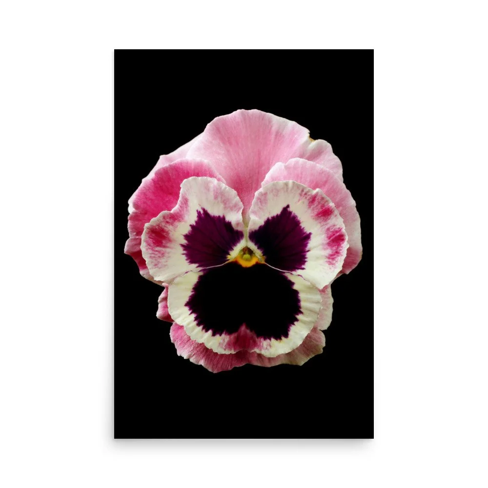 enhanced-matte-paper-poster-(in)-24x36-front-6a777675efaf2.jpg