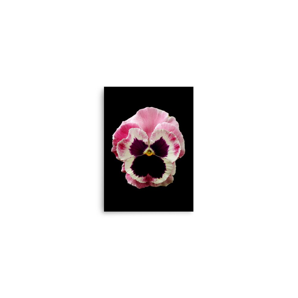enhanced-matte-paper-poster-(in)-5x7-front-6a777675efb61.jpg