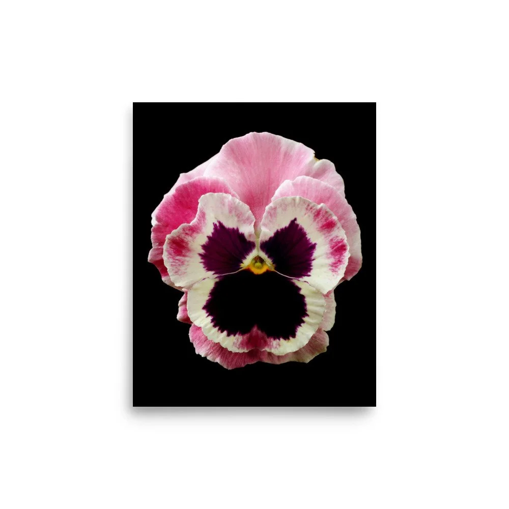 enhanced-matte-paper-poster-(in)-8x10-front-6a777675efb9c.jpg