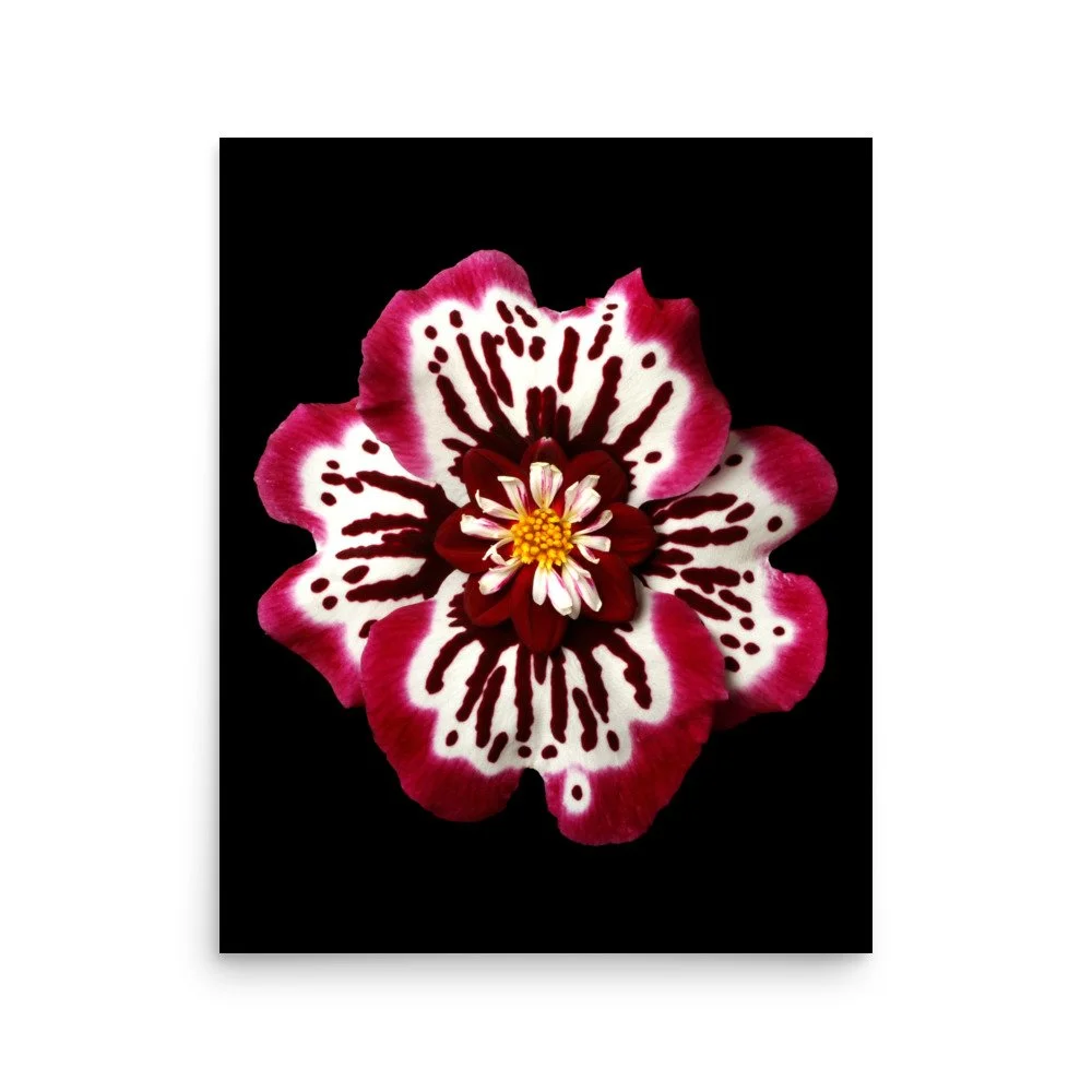 enhanced-matte-paper-poster-(in)-16x20-front-6a77798225765.jpg