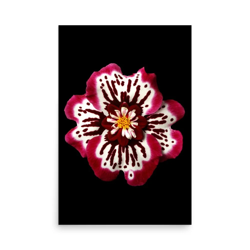 enhanced-matte-paper-poster-(in)-24x36-front-6a777982263cc.jpg