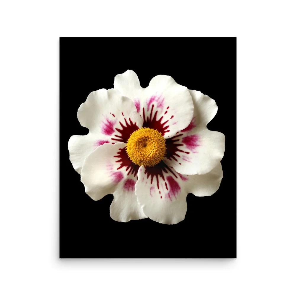 enhanced-matte-paper-poster-(in)-16x20-front-6a777b694d870.jpg